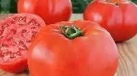 Tomato Puree  11-13 Brix