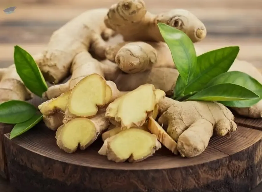 Ginger