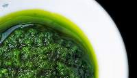 Coriander (Cilantro) Paste