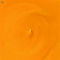 Mango Concentrate