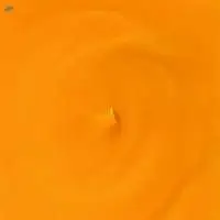Mango Concentrate