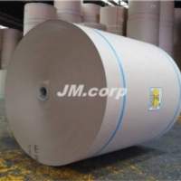 Waste Paper Pulp