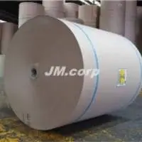 Waste Paper Pulp