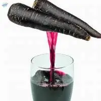 Black Carrot Juice Concentrate