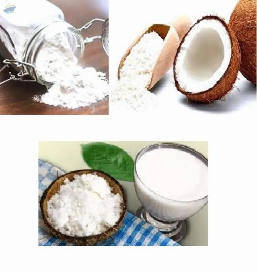 Coconut Milk Powder