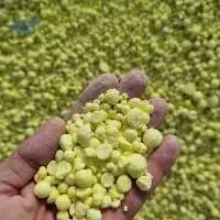 Sulphur Granules (Sulfur granule)