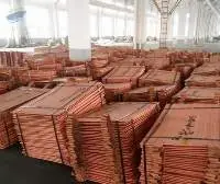 Copper Cathode 99.97-99.99%