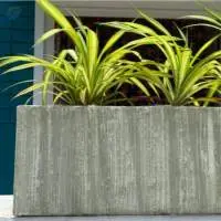 Large Outdoor Pots