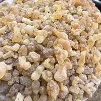 Gum Olibanum