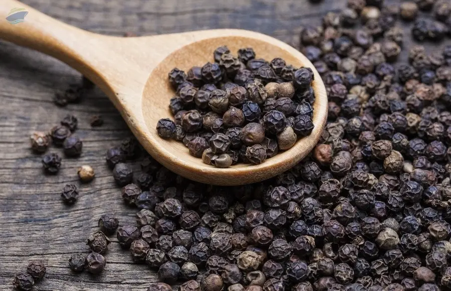 Black Pepper