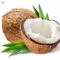 Coconuts