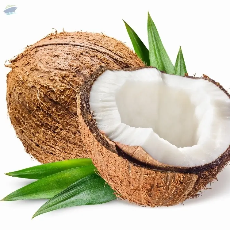 Coconuts