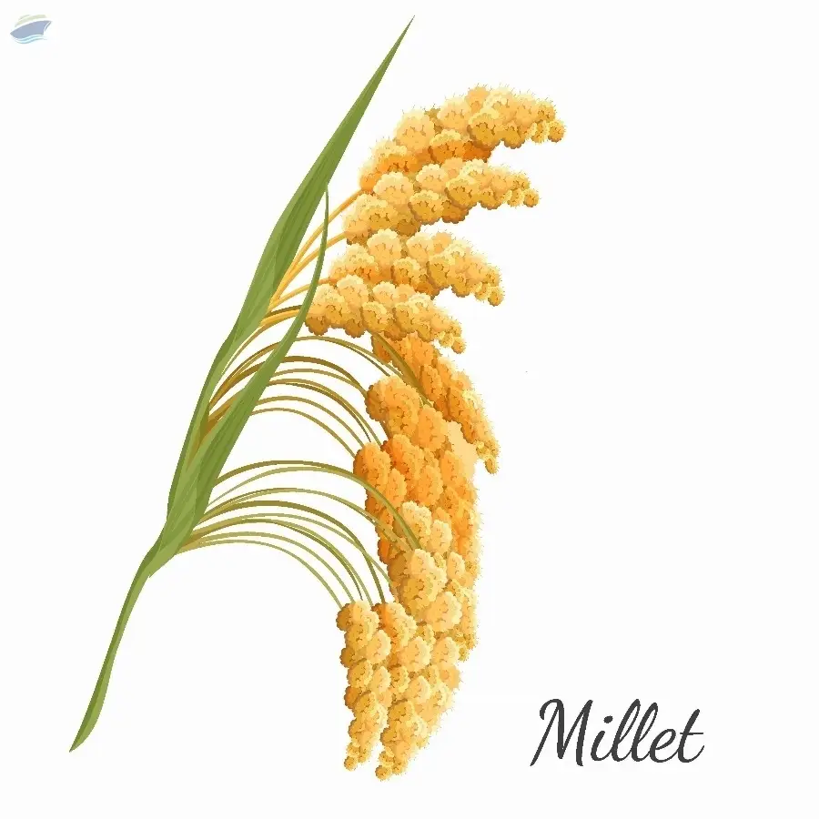 Millets