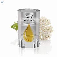Bulgarian Yarrow oil (Achillea millefoliumÂ )