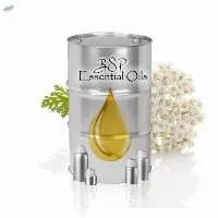 Bulgarian Yarrow oil (Achillea millefoliumÂ )