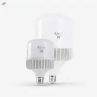 Die Casting Al T Bulb