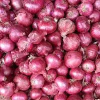 Onions