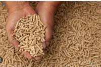 Wood Pellets EN A1