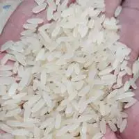 Non Basmati Rice