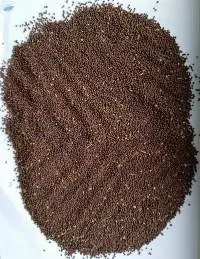 Mustard Seed