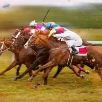 Silica Sand For Horse Racing Track