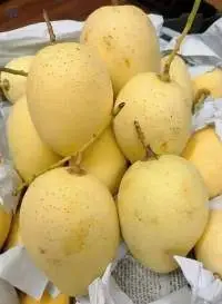 Fresh Mango