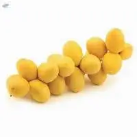Fresh Barhi Dates