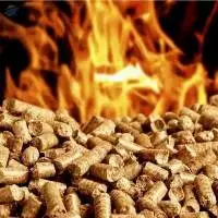 Pine Wood Pellets