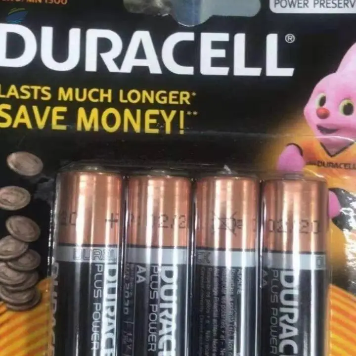 Alkaline Batteries