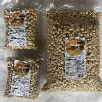 Macadamia Nut in Kernel