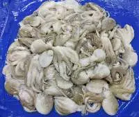 Octopus Whole