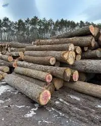 Hickory Rotary Logs
