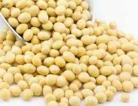 Soybeans