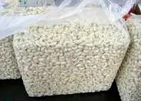 Cashew Nuts