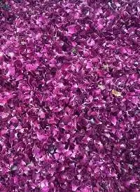 Premium Dried Flowers