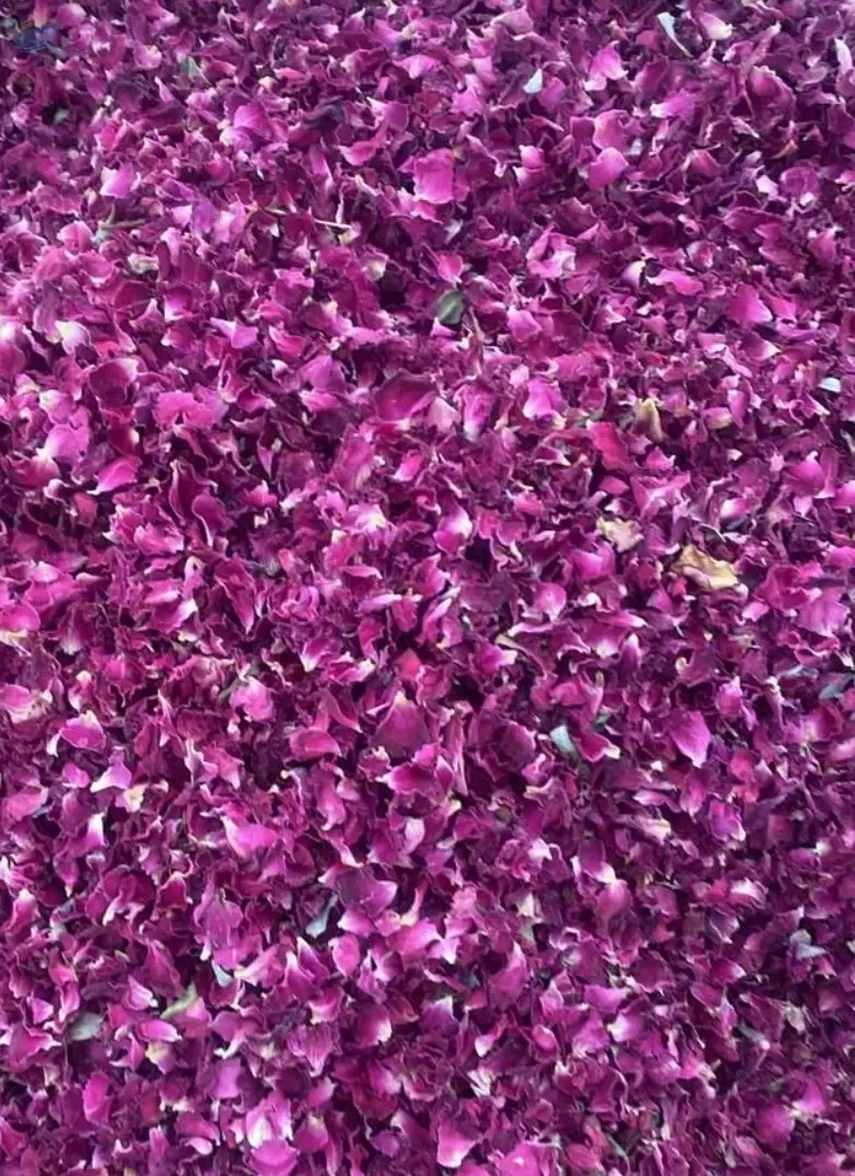 Premium Dried Flowers