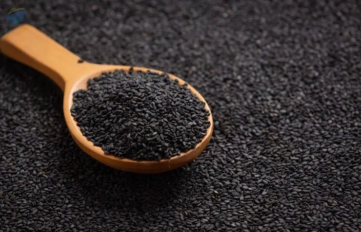 Pure Fresh Sesame Seeds for Cooking