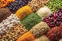 High Quality Pulses for Daily Meals