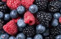 Premium Frozen Berries Export Quality