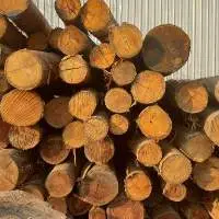 Logs