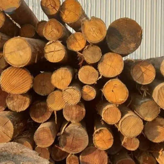 Logs