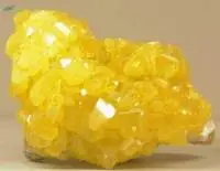 Yellow Sulphur