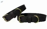 Dog Collar