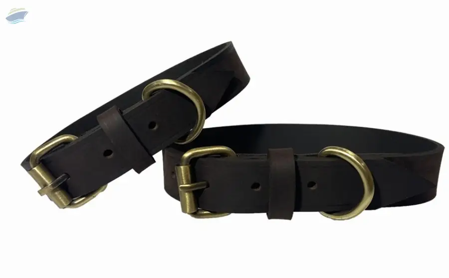 Dog Collar