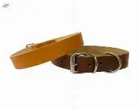 Dog Collar