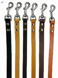 Dog Lead