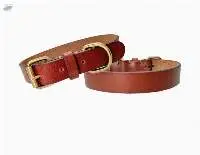 Dog Collar