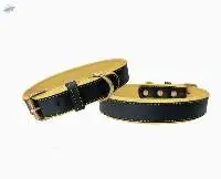 Dog Collar