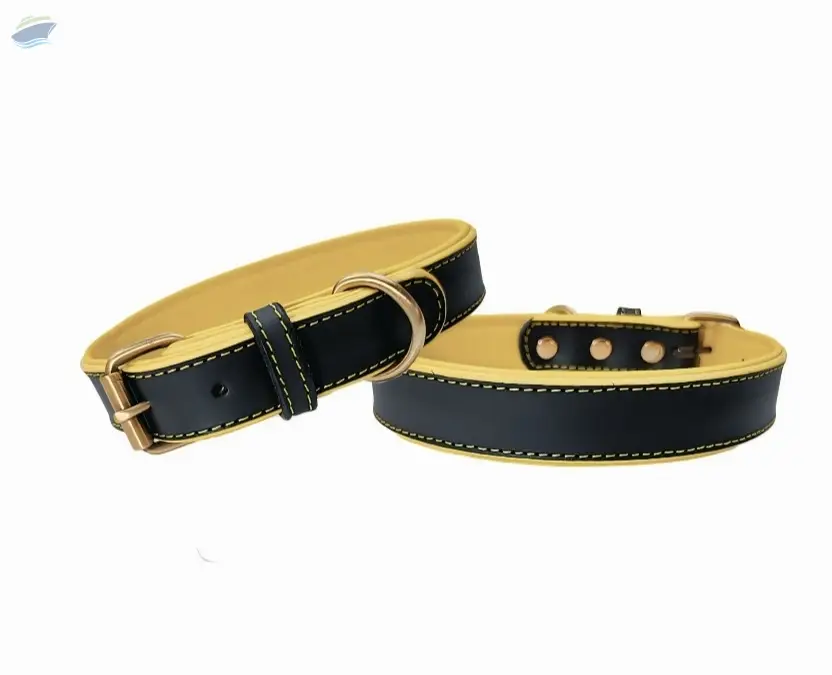 Dog Collar