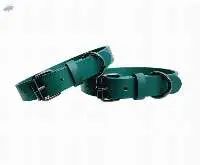 Dog Collar